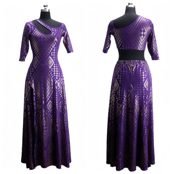 Faux Assuit foil print Dress BellyDancer Stage costumes Oriental dress Egyptian style